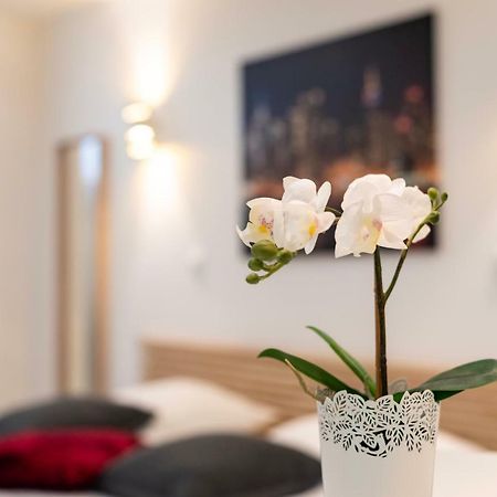Citycosy Strasbourg - Studio Hirtz Orangerie Εξωτερικό φωτογραφία