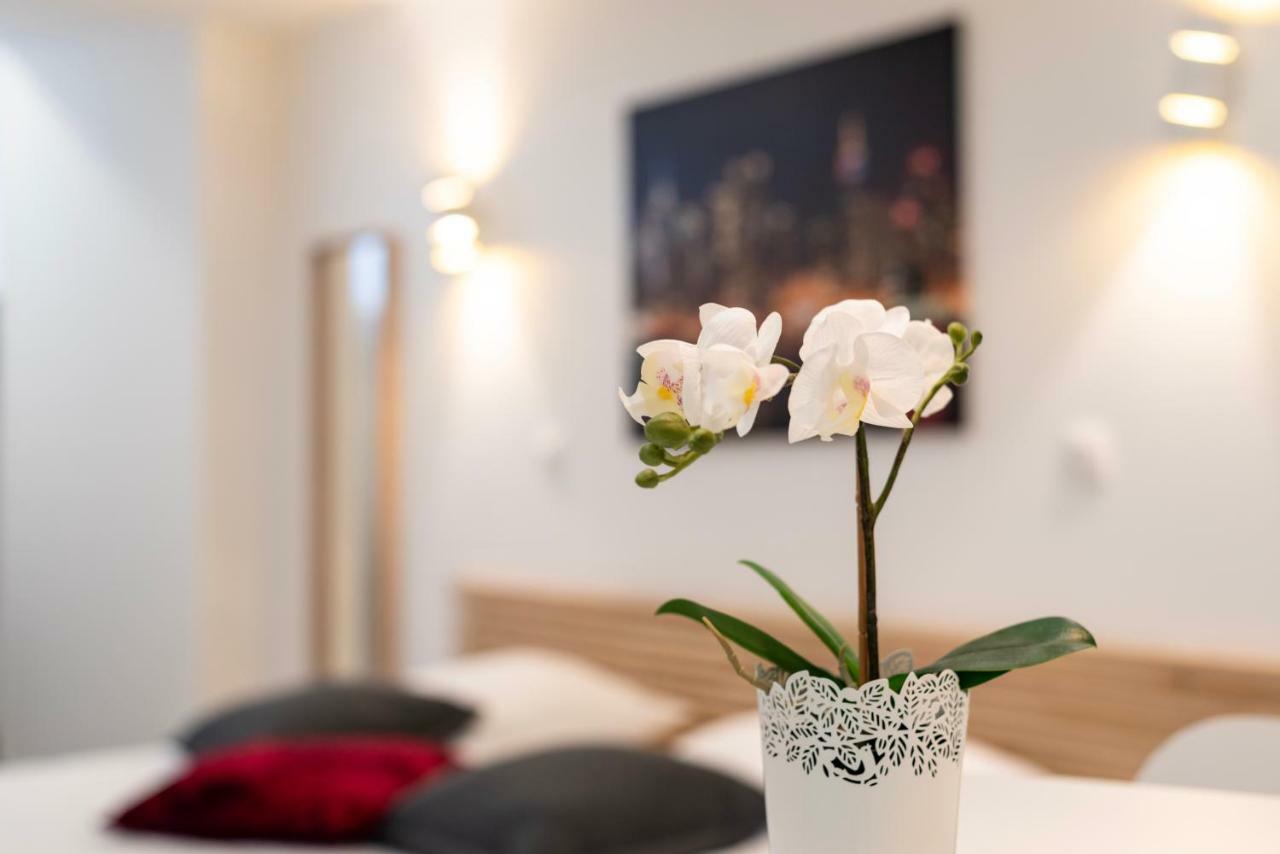 Citycosy Strasbourg - Studio Hirtz Orangerie Εξωτερικό φωτογραφία